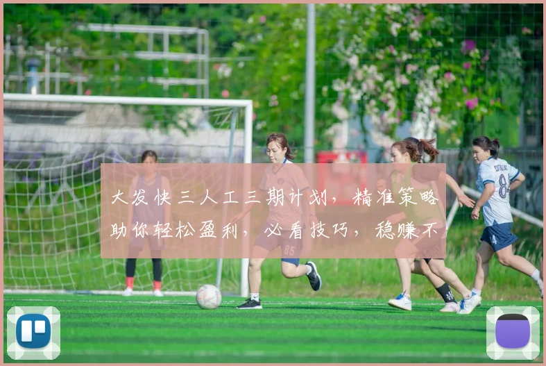 大发快三人工三期计划，精准策略助你轻松盈利，必看技巧，稳赚不赔