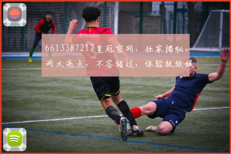 6613387217皇冠官网，独家揭秘，两大亮点，不容错过，体验极致娱乐