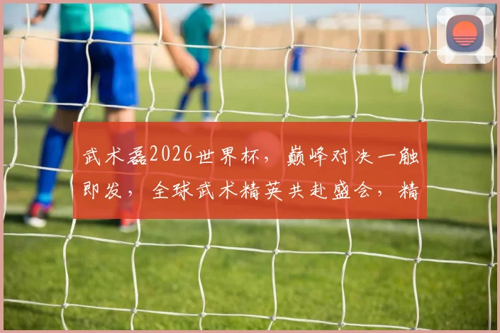 武术磊2026世界杯，巅峰对决一触即发，全球武术精英共赴盛会，精彩不容错过