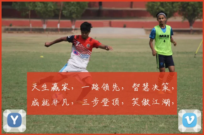 天生赢家，一路领先，智慧决策，成就非凡，三步登顶，笑傲江湖，共谱辉煌。