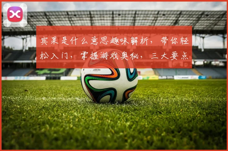 宾果是什么意思趣味解析，带你轻松入门，掌握游戏奥秘，三大要点必看