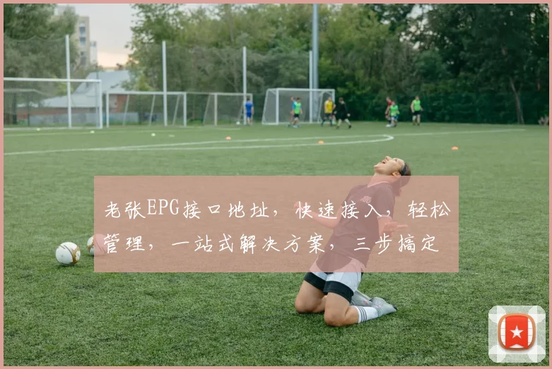 老张EPG接口地址，快速接入，轻松管理，一站式解决方案，三步搞定，体验非凡